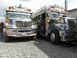 Chickenbus by Henk Rabbers