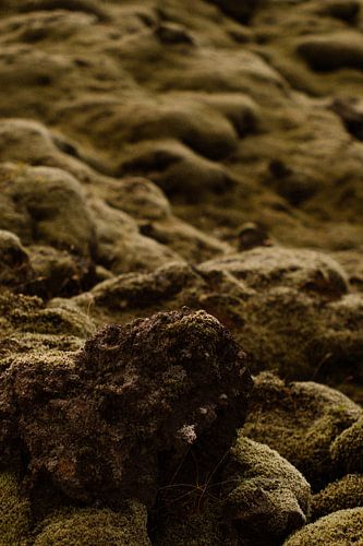 Icelandic rocky soil