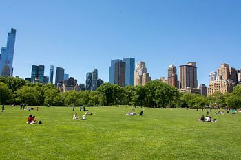 Central Park New York City