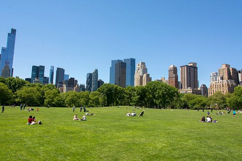 Central Park New York City