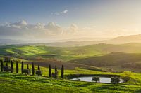 Ländliche Landschaft in Volterra. Toskana, Italien