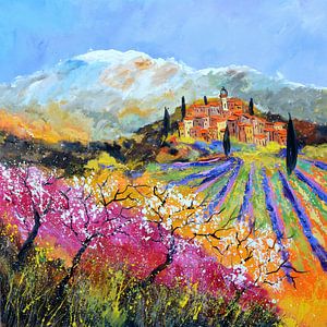 In Provence