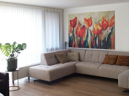 Des tulipes aux couleurs gaies