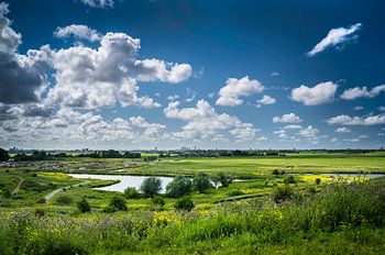 The Hague and the polder landscape