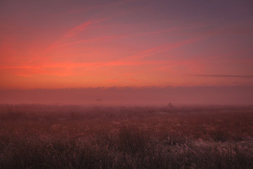 Dynamic sky before sunrise Dwingelderveld by Anneke Hooijer