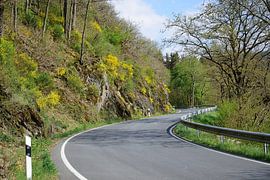 Roadside flowers by Frank's Awesome Travels