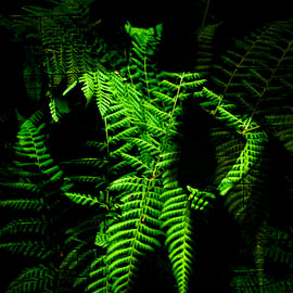 BODYART 23 sur PIXART by ROB