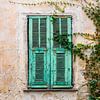 Oude deur met luiken en klimop in Italië van Ellis Peeters