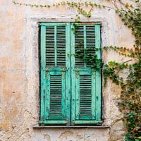 Oude deur met luiken en klimop in Italië