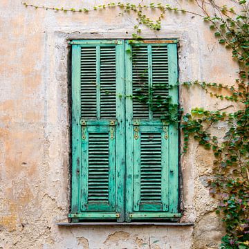 Oude deur met luiken en klimop in Italië