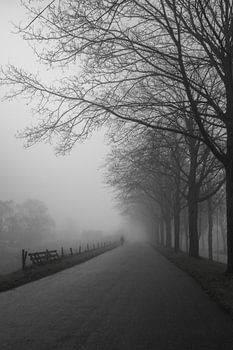 Brouillard noir et blanc
