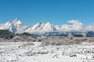 Mountain range in Grand Teton National Park by Dennis en Mariska thumbnail