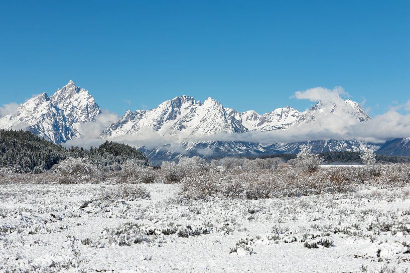 Mountain range in Grand Teton National Park by Dennis en Mariska