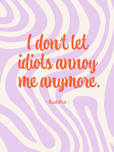 I don´t let idiots annoy me anymore