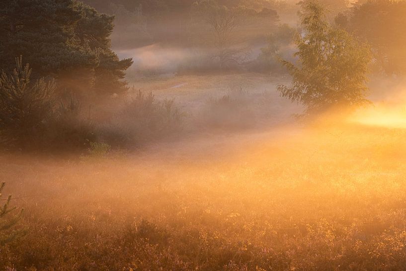 De heide in brand, Brunssummerheide van peter reinders