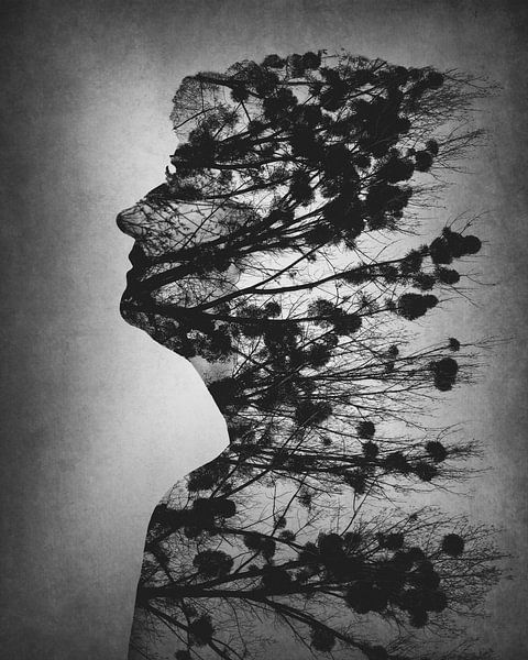 Essence of life by Dusan Macko