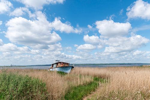 Dabie, lac de Pologne sur Richard Wareham