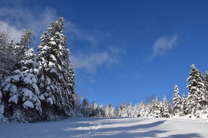 The recreation ground in winter by Claude Laprise