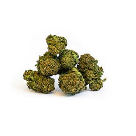 Cannabis Weed Marijuana Blossom by Poster Art Shop