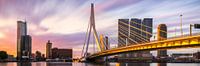 Golden sunrise panorama Rotterdam Erasmus Bridge