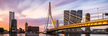 Panorama du lever du soleil doré Pont Erasmus de Rotterdam sur Vincent Fennis