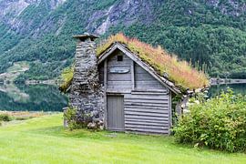 altes Holzhaus mit zugewachsenem Dach
