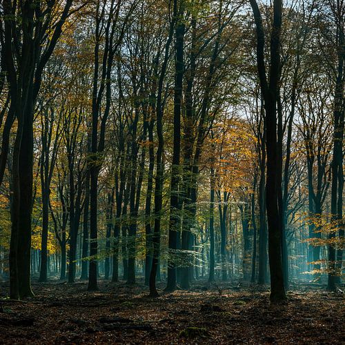 speulderbos gelderland