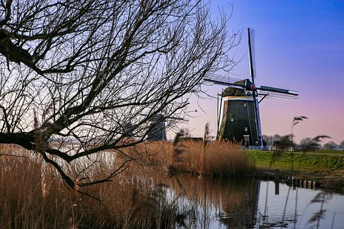 Windmill in morning dawn