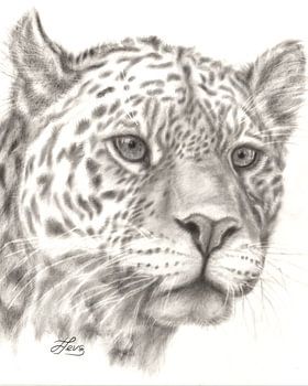 Leopard in drybrush techniek