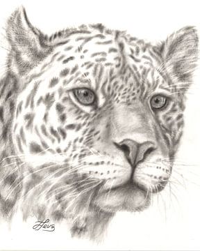 Leopard in drybrush techniek van Larisa Jevsjoekova