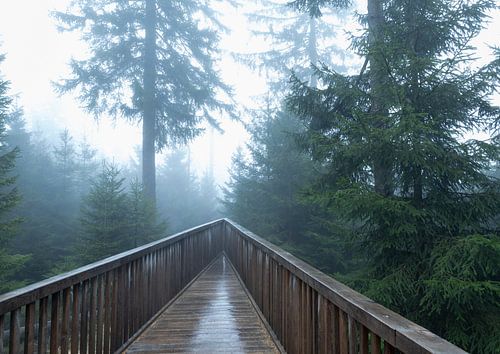 Nature from the visitor's perspective