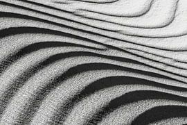 Sahara Desert. Sand dunes, detail. by Frans Lemmens