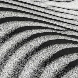 Désert du Sahara. Dunes de sable, détail. sur Frans Lemmens