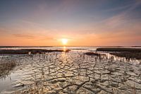 Das Wattenmeer