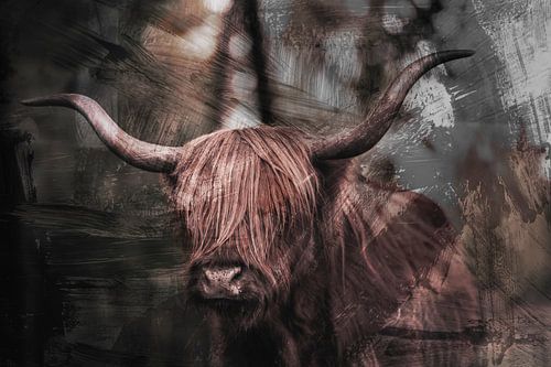 Schotse Hooglander