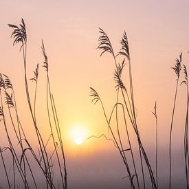 Mistige zonsopkomst van Erik Graumans