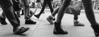 Walk the line by Leonie Versantvoort thumbnail