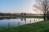 A photo safari through the Knoops Park in Bremen on the river Lesum