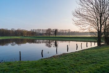 A photo safari through the Knoops Park in Bremen on the river Lesum