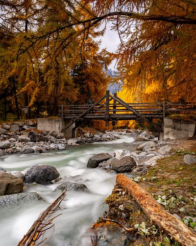 Best Picture of the Swiss trip |