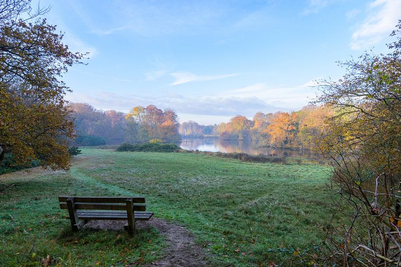 autumn in painting form by Remco Van Daalen