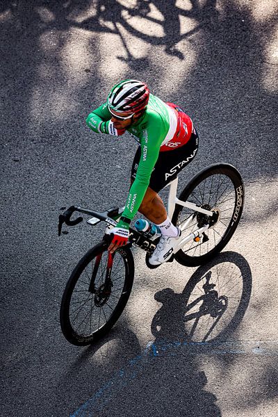 Alberto Bettiol champion of Italy by FreddyFinn