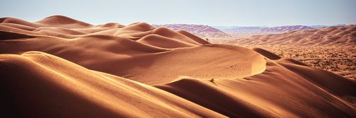 Oman Rub Al Khali Emtpy Qarter Desert Panorama