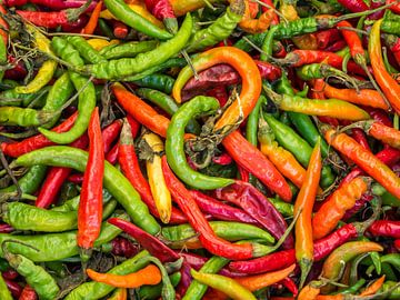 various chillies at the weekly market by Animaflora PicsStock