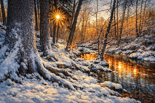 Sunrise along the River Hoëgne