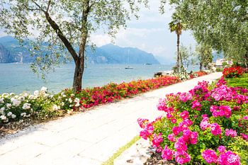 Uferpromenade am Gardasee