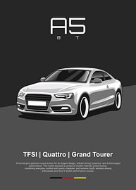 Audi A5 8T