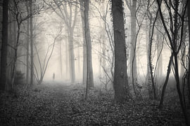 Lost in the haze by Made by Martin