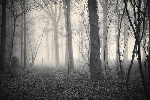 Verloren im Dunst