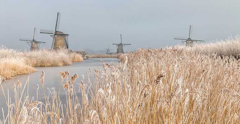 Winter at Kinderdijk by Mark den Boer